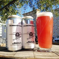 beer image